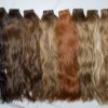 Beach Wave Collection