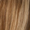 Luxury Tape Weft Collection